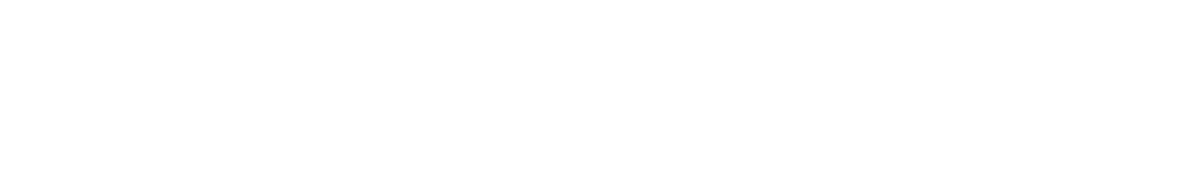 Securing the Digital Future