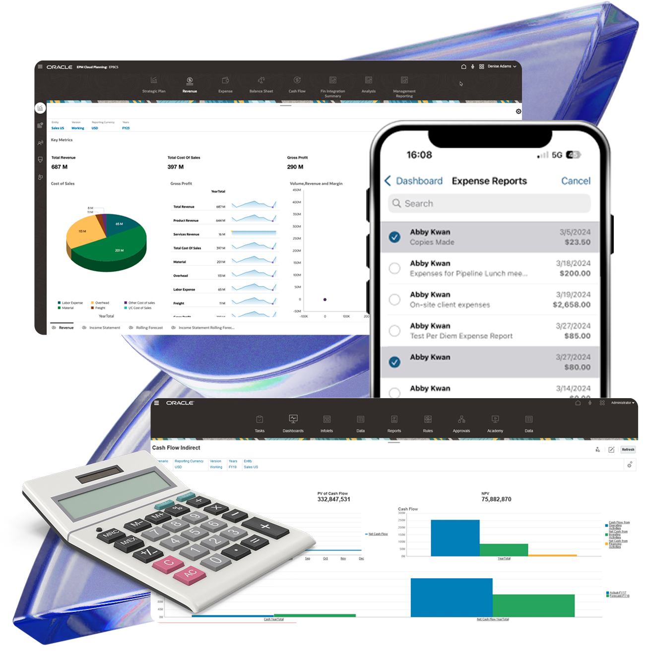 NetSuite Interface Image